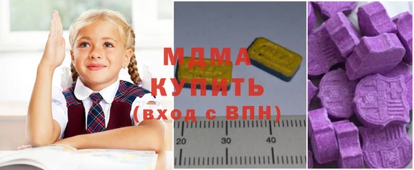 индика Гусь-Хрустальный