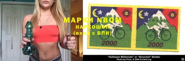 индика Гусь-Хрустальный