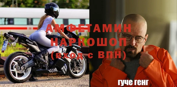 индика Гусь-Хрустальный