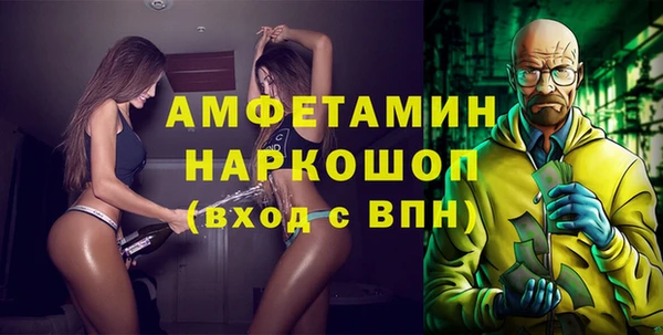 индика Гусь-Хрустальный